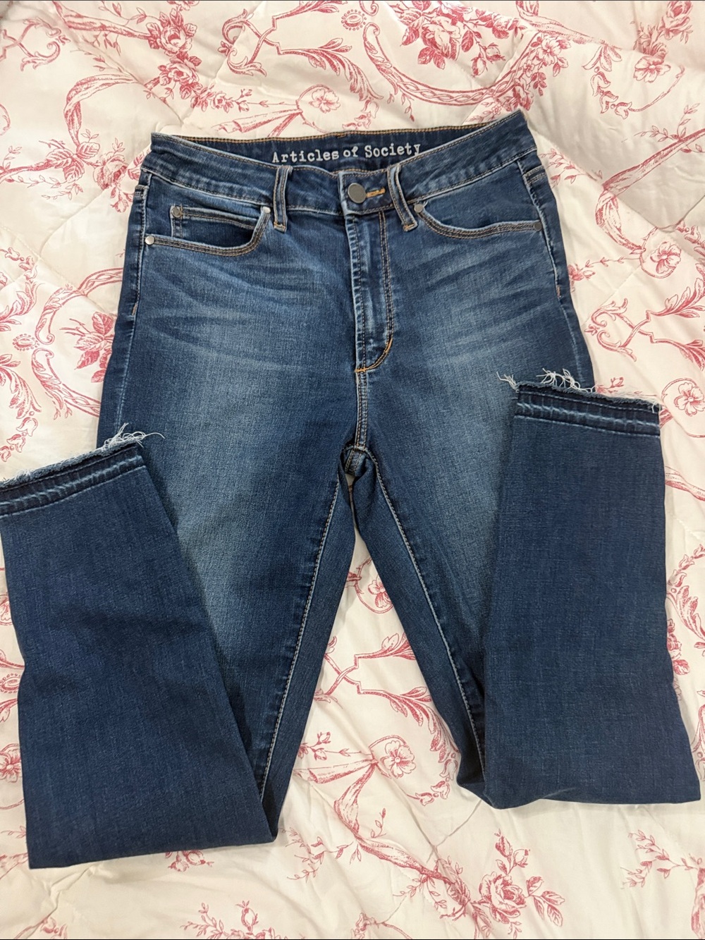 Articles of Society Medium Blue Skinny Jeans